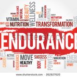 ENDURANCE TRAINING MAIO 2015