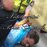 Inteligentai: Petras Gražulis