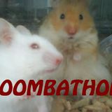 Moombathon con viento