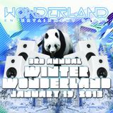 DJ Kaii - Winter Wonderland Promo MIx