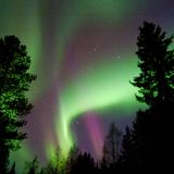 Seldon's trippy winternight bedtime story