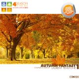 Laurent Tenstone - 4 Season in the Mix - Autumn Fantasy 2010 (Continous Mix) CCR020
