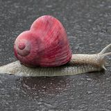 Slower than the heartbeat mix