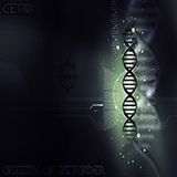 Cetra - Origin of Disorder (2011)
