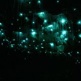 The Attic Podcast: 10. Basso - Luz de Vagalume