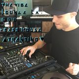 The Vibe Lounge Podcast 008 - Bass House - Trentino