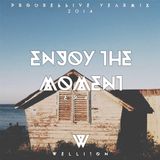 Welliton - Enjoy The Moment EP41 (Progressive Yearmix 2014)