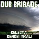 Dub Brigade Episode 3 - selecta sensi I