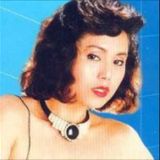 陳小雲/不間斷台語勁歌組曲 2