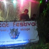 Gincat 30 min set (10.9.12)