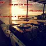 THE PIC-NIC ROOMS DELUXE SESSIONS@JSUNDAY