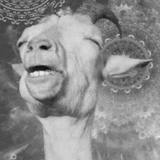 Secret Salmon - Episode 13: Vampire Space Goat Coast to Coast