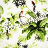 It's tropical vol.4