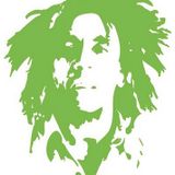 Dzemas! #33 Green Selecta Mix