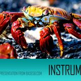 Ghost Food's 00-09 Instrumentals Part 1