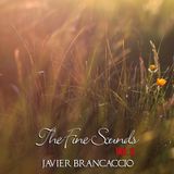 The Fine Sounds Vol.3 @ Javier Brancaccio (Promo Mix Julio 2013)