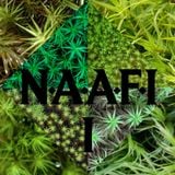 ZOMBIE DISCO SQUAD LIVE SET @ N.A.A.F.I #1