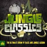 MINISTRY OF SOUND - JUNGLE CLASSICS CD 2