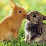 René & Bacus ~ Commercial Dance Remixes (Mixed 1st March 2014)