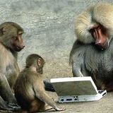 the Drunken Baboon (Frankie Wilde Mix)