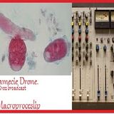Paramécie Drone and Eela Broadcast S102.