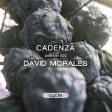 Cadenza Podcast | 200 - David Morales (Cycle)