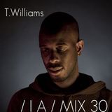 T.Williams Inverted Audio MIX 30 exclusively for Eastern Electrics