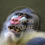SquareTape#12 by Cordon Bleu - January 2014