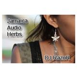 DJ RazoR (Irie Ites Soundsystem Kassel) - Jamaican Audio Herbs (10-2011)