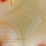 Trebor - Dreams are no Illusions 10.2013