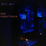 Dub experience