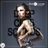 #1 NuDisco Deep House 14Janv2016 MIX DJ 's'