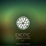 Exotic Vibrations 021 (September 2015)