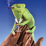 Social Chameleonism