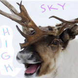 SKYHIGH