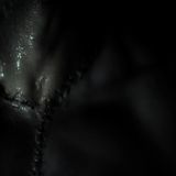 Victor AG- Total Extermination