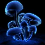 Milex Promo mix (All tracks by Milex)