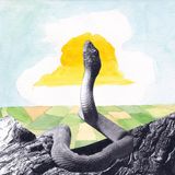 Bend Beyond by Woods