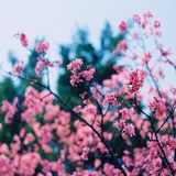 Afterthought