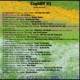 SeeWhy CupidlY01