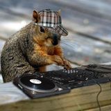 Snowphish - Easter Squirrels' Mix