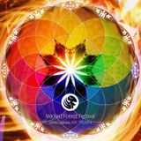 Imba LIVE @ Wicked Forest 2014