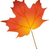 C_King_Autumn_2011