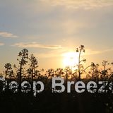 Deep Breeze