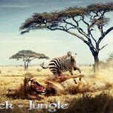 Dj Black - Jungle