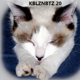KBLZNBTZ 20