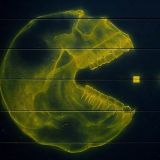 AcidCor...OSEF -- Xtra6Tole
