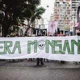 2015-04-06│Movilización ante abusos de Monsanto│Omar Príncipe, Presidente Fededación Agraria
