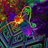 la vida - galleryMix
