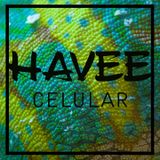 Havee - Celular (Original Mix)